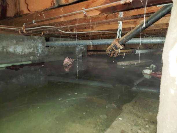 Best Water damage restoration company  in Danville, VA