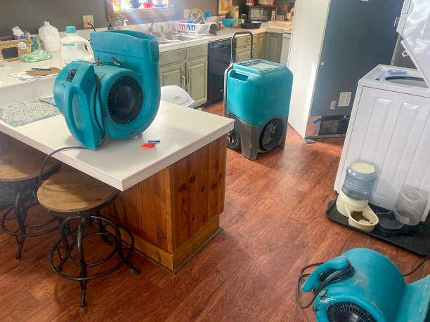 Best Water damage restoration experts  in Danville, VA