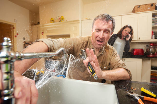 Best Mold removal after water damage  in Danville, VA